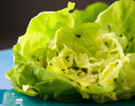 Butter-Lettuce-Salad